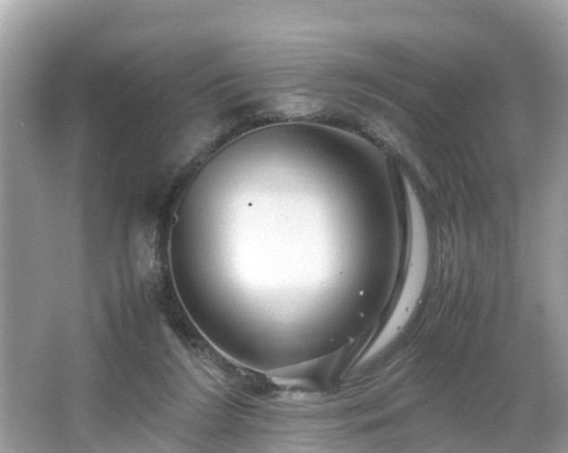 X0000066000212200603101539