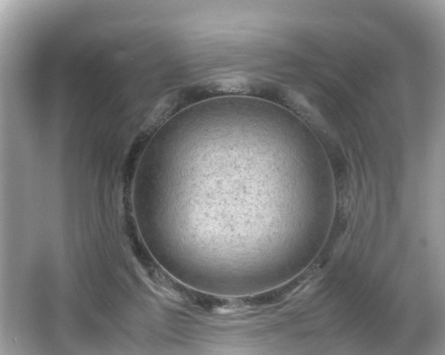 X0000066000213200603101539