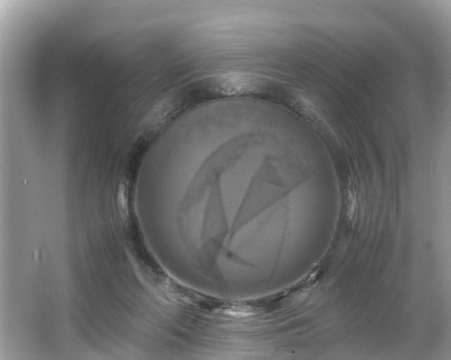 X0000066000214200603101539