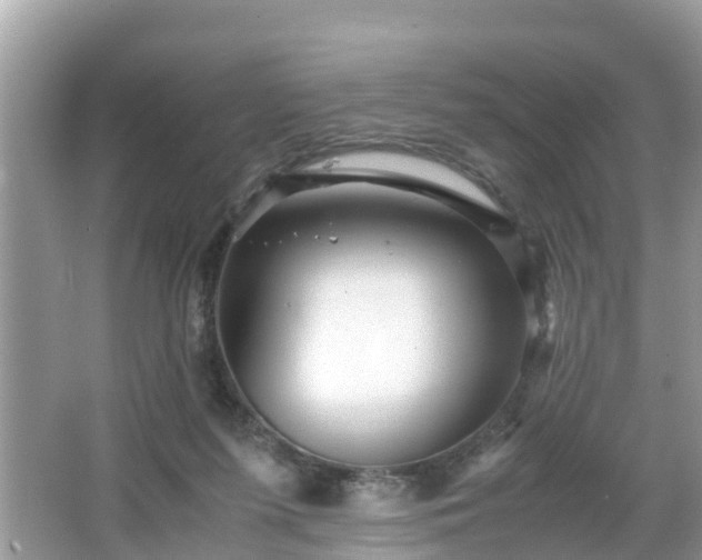 X0000066000215200603101539