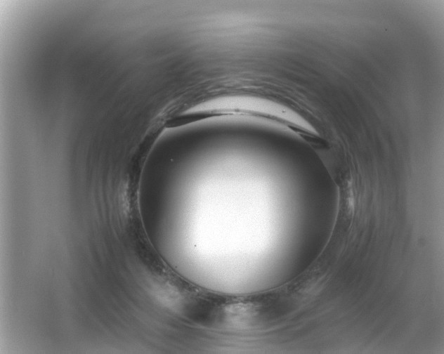 X0000066000216200603101539