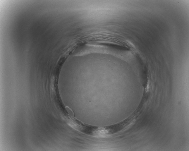 X0000066000217200603101539