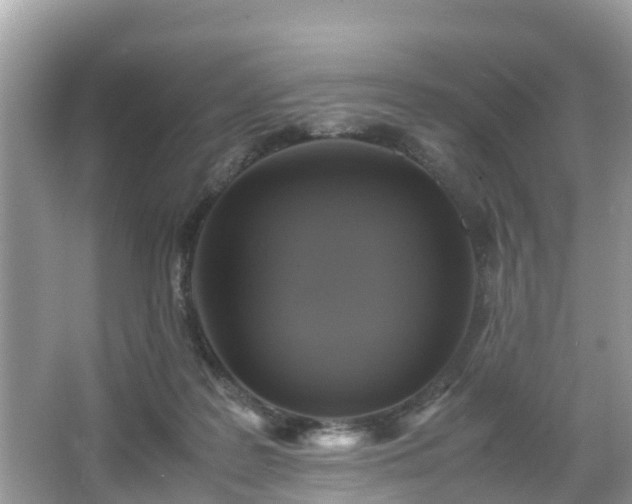 X0000066000219200603101539