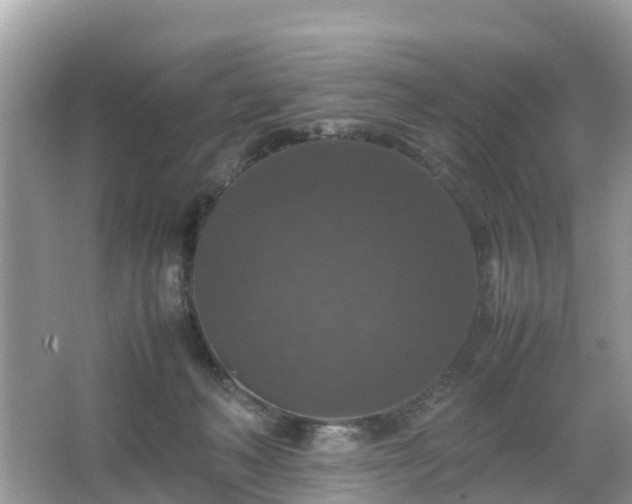 X0000066000222200603101539