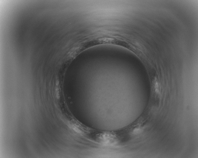 X0000066000223200603101539