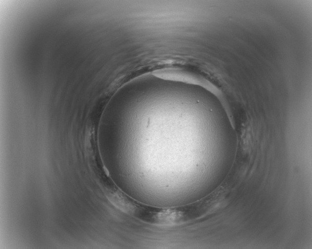 X0000066000225200603101539