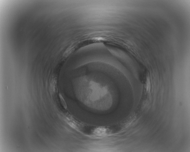 X0000066000227200603101539