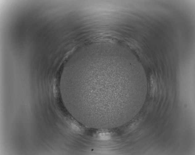 X0000066000228200603101539