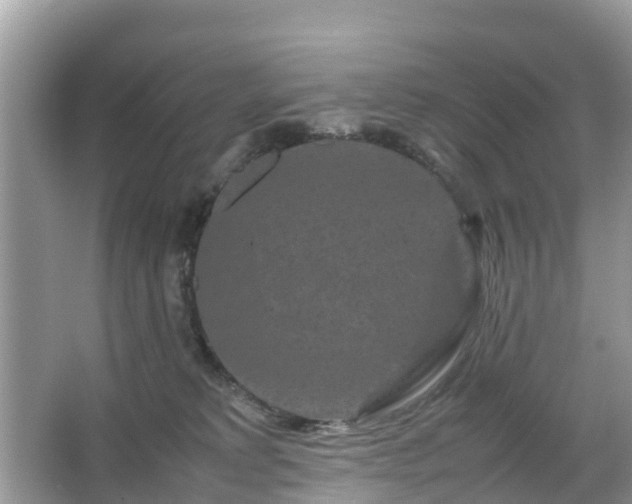 X0000066000229200603101539