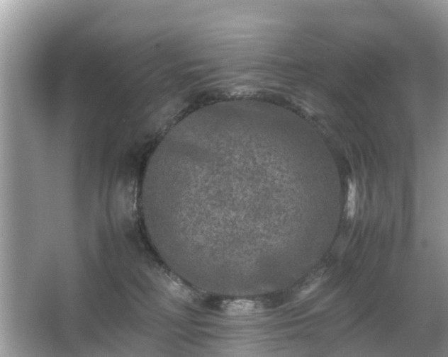 X0000066000230200603101539