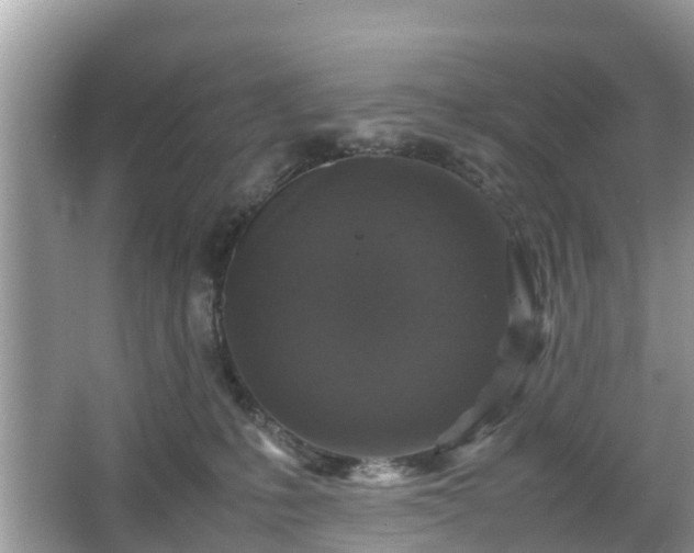 X0000066000231200603101539