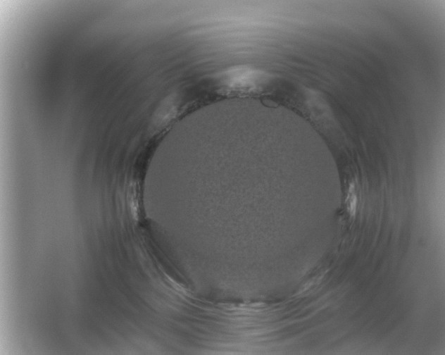 X0000066000232200603101539