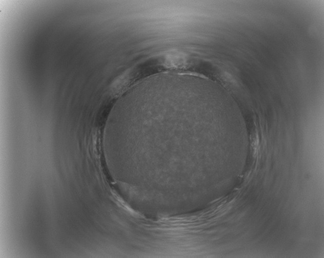 X0000066000233200603101539