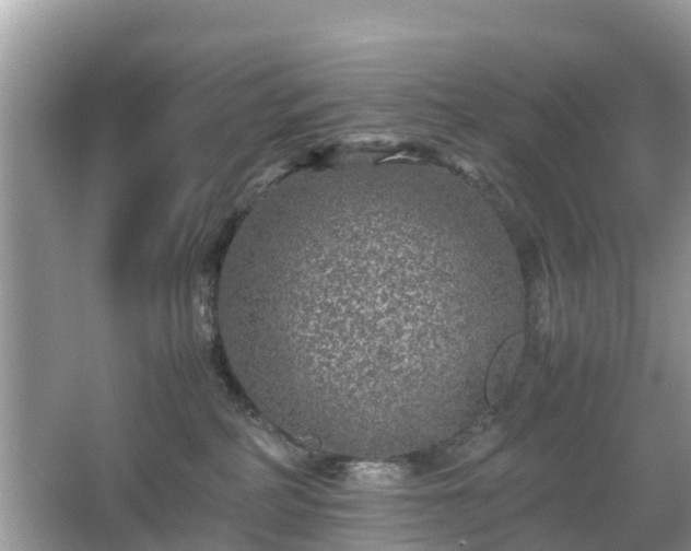 X0000066000234200603101539