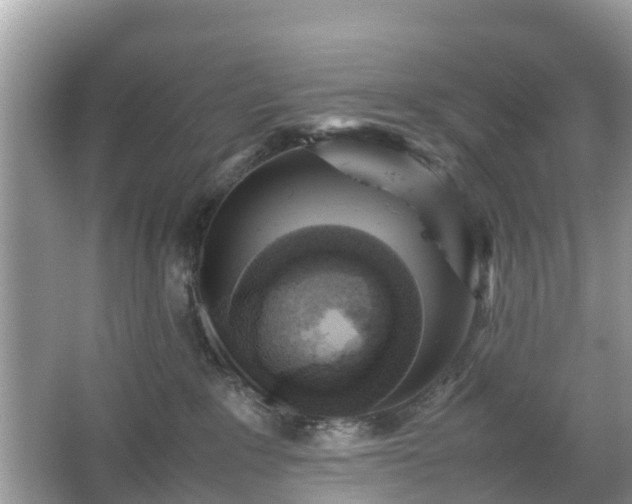 X0000066000235200603101539