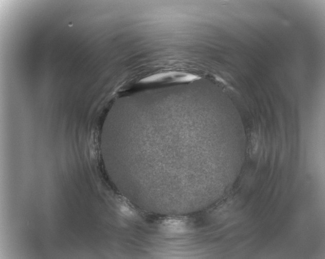 X0000066000236200603101539