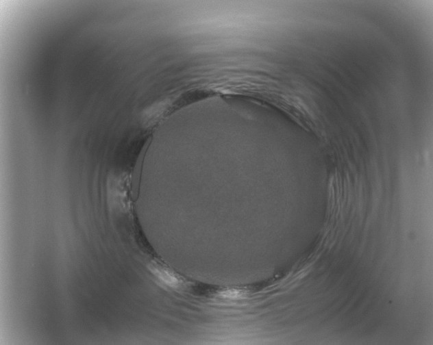 X0000066000237200603101539