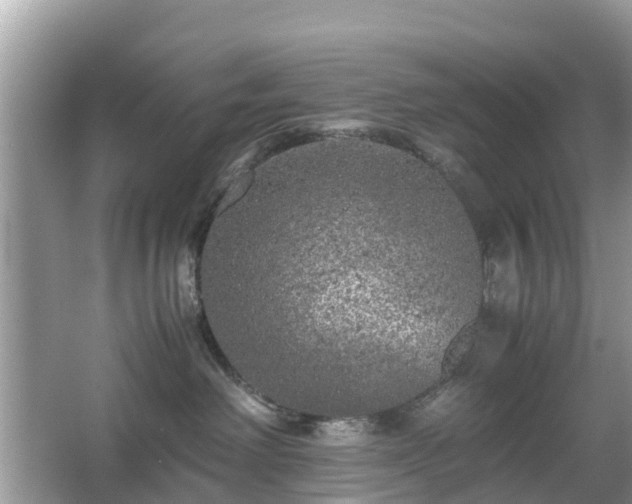 X0000066000238200603101539