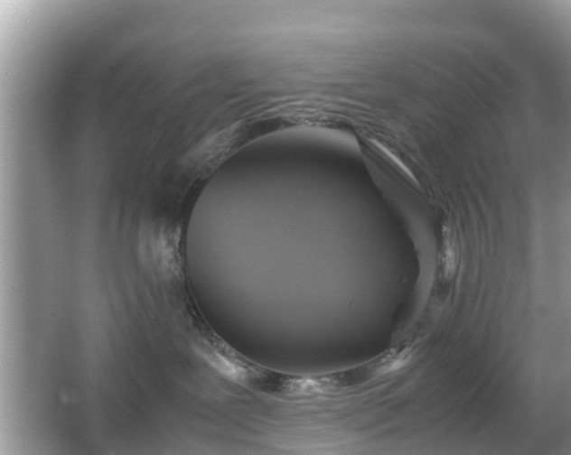 X0000066000239200603101539