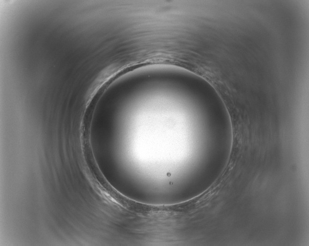 X0000066000242200603101538