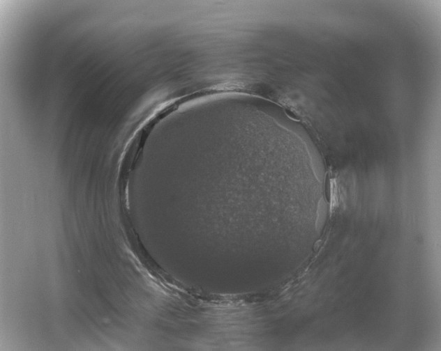 X0000066000243200603101538