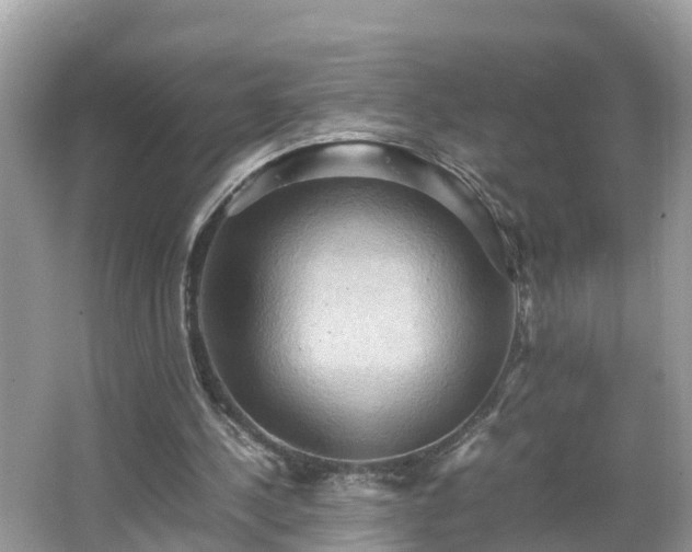 X0000066000244200603101538