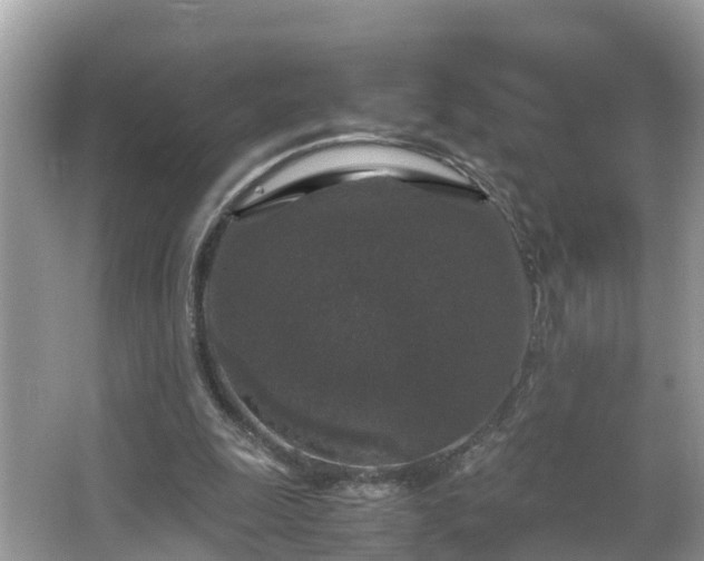 X0000066000247200603101538