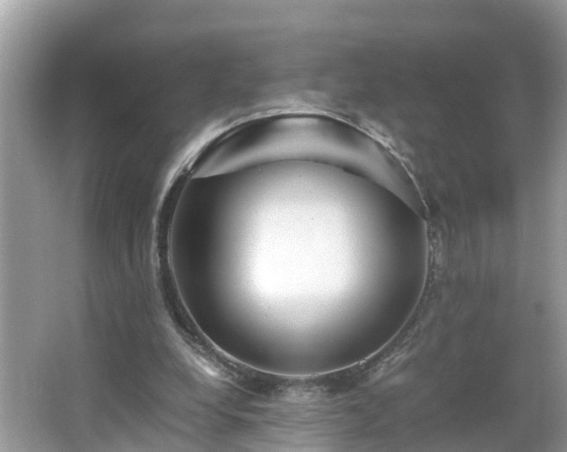 X0000066000248200603101538