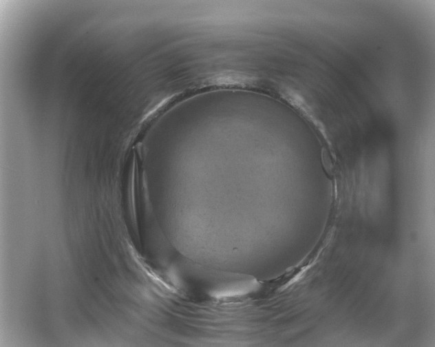 X0000066000249200603101538