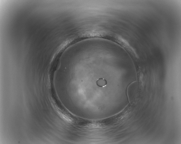 X0000066000250200603101538