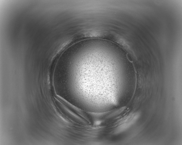 X0000066000251200603101538