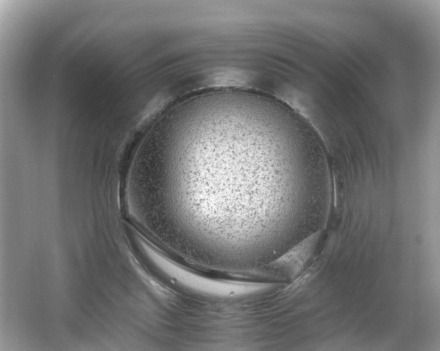 X0000066000253200603101538