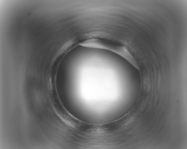 X0000066000254200603101538