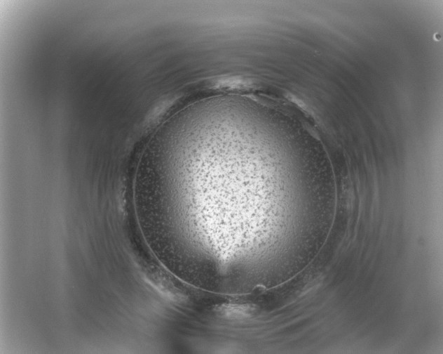 X0000066000255200603101538