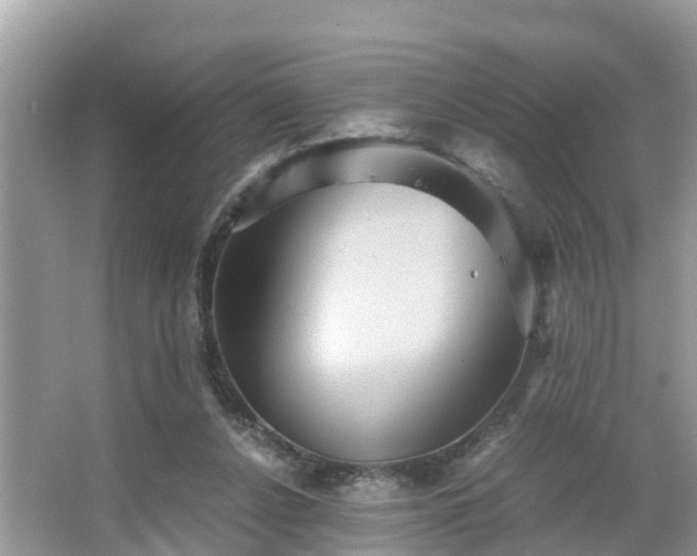 X0000066000256200603101538