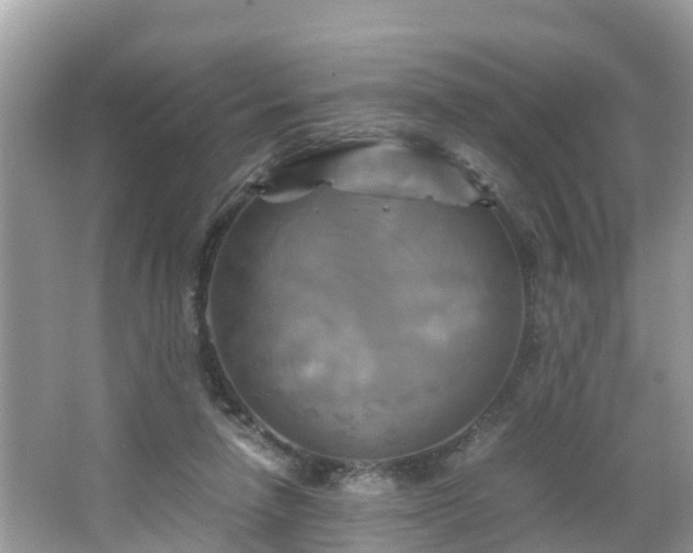 X0000066000258200603101538