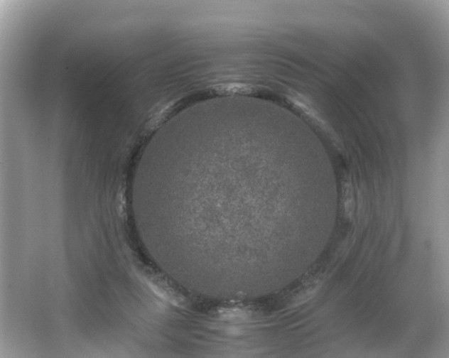 X0000066000259200603101538