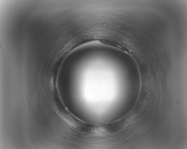 X0000066000262200603101538