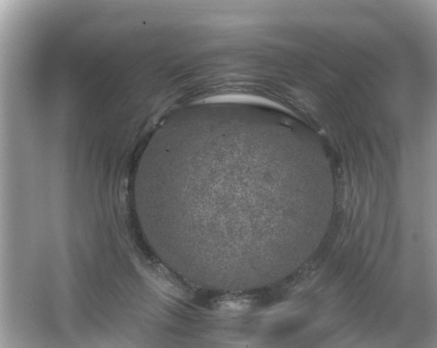 X0000066000263200603101538