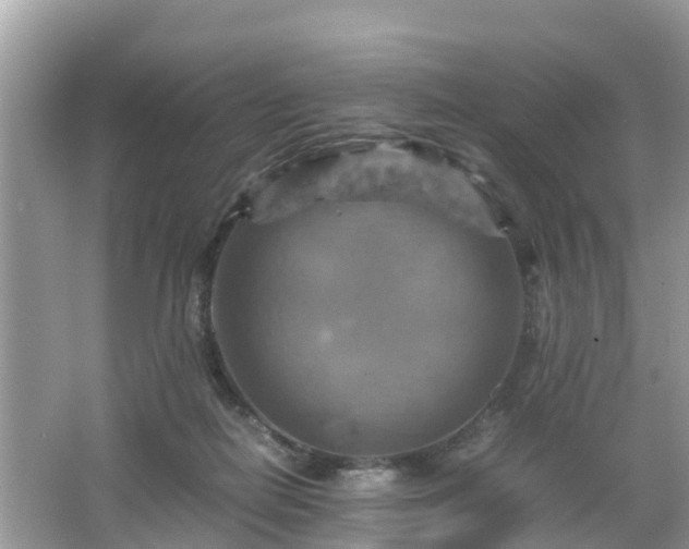 X0000066000266200603101538