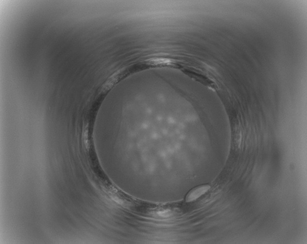 X0000066000267200603101538