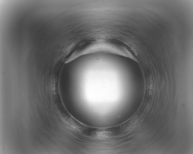 X0000066000268200603101538