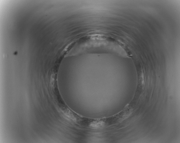 X0000066000271200603101538