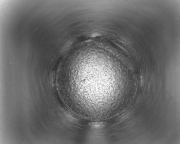 X0000066000273200603101538