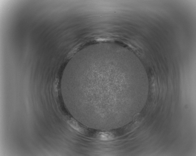 X0000066000275200603101538