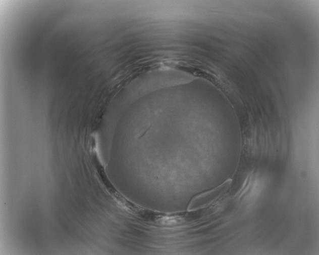 X0000066000277200603101538