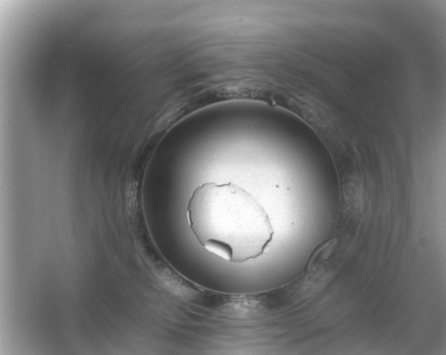 X0000066000278200603101538