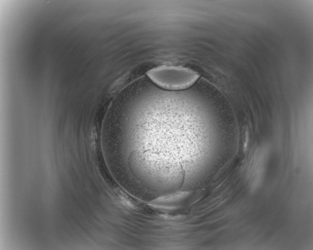 X0000066000279200603101538