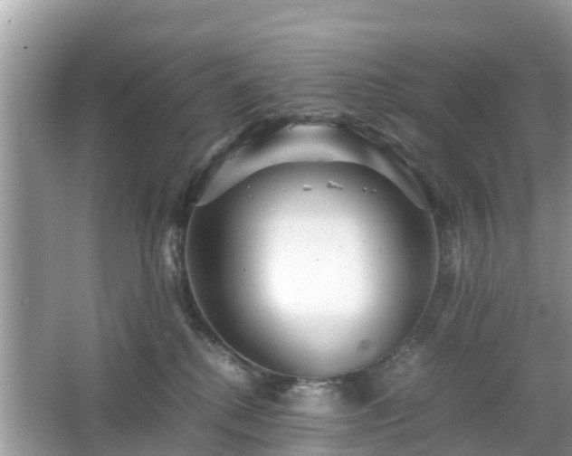 X0000066000280200603101538