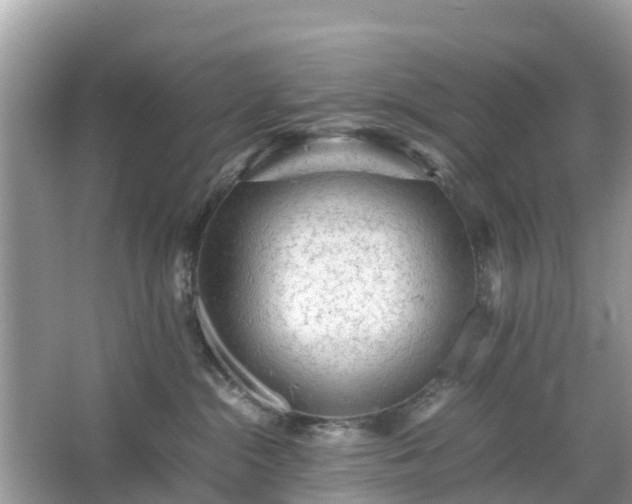 X0000066000284200603101538